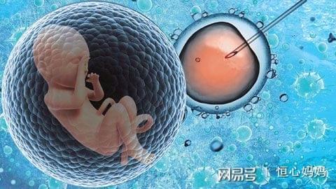 极光生殖